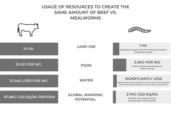 Infographic on resource use to create the same amount of beef as mealworms